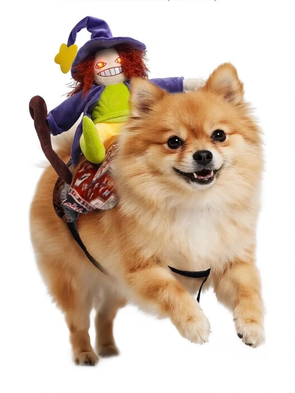 Witch Riding Dog Costumes, Size Large,Witch Costumes for Dogs Cosplay- Magic